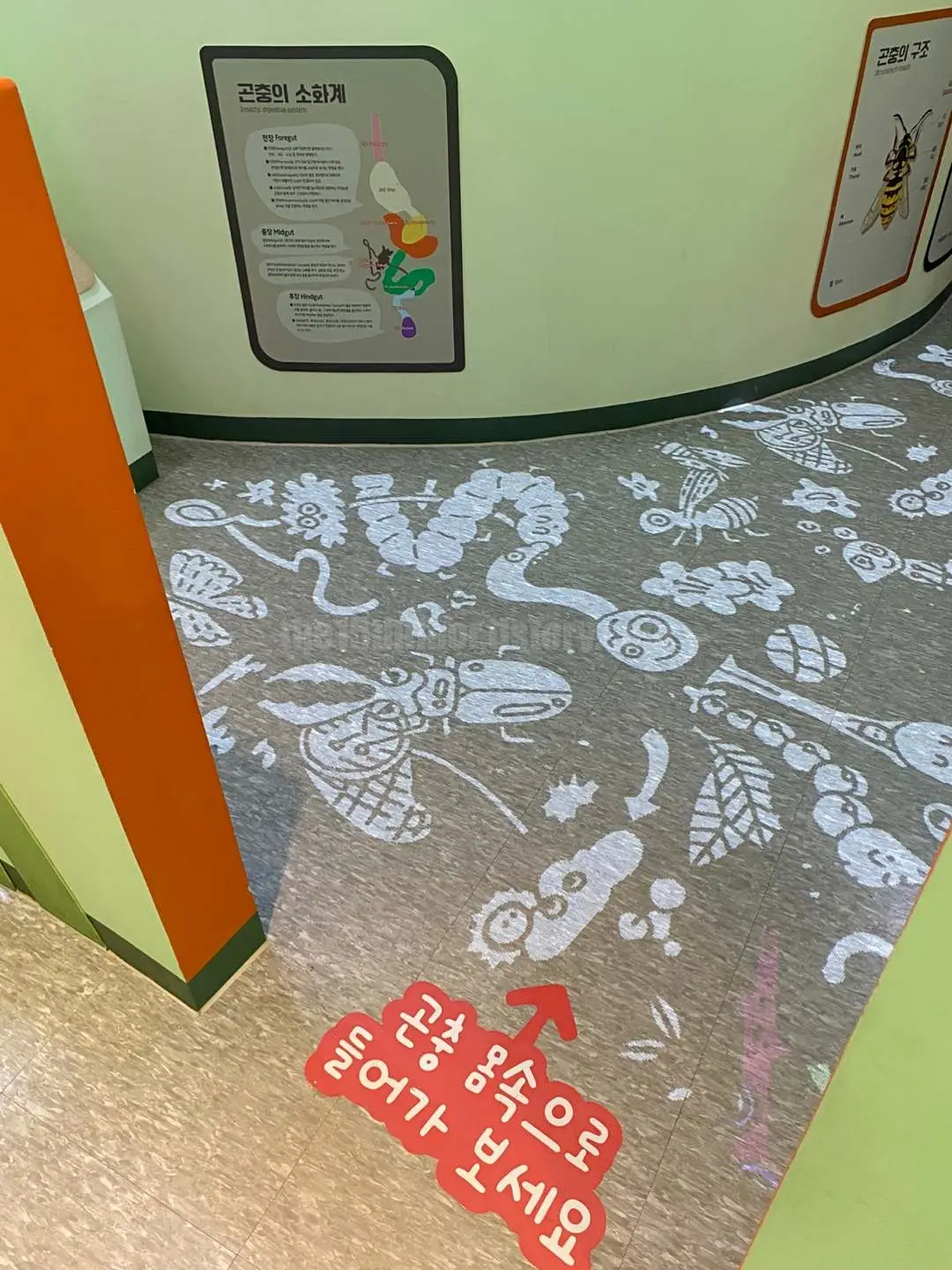 경남 의령 &amp;#39;의령 곤충생태학습관&amp;#39; (1층&amp;#44; &amp;#39;곤충 세계관&amp;#39;)