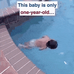 12월 28일 목 신문스크랩