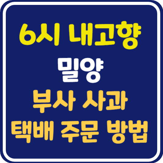 6시 내고향 밀양 부사 사과 택배 주문 방법