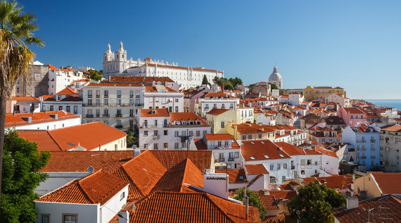 글로벌 비건 푸드 여행: 포르투갈 🇵🇹