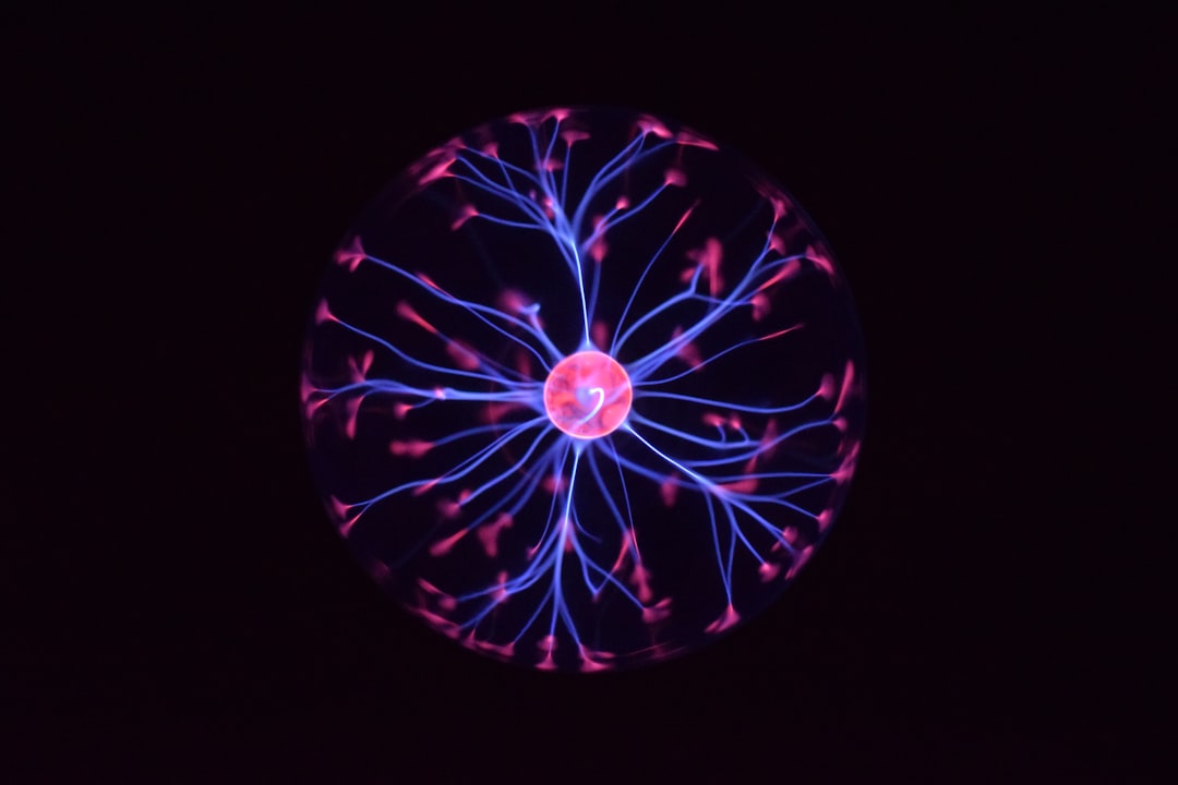 Brain