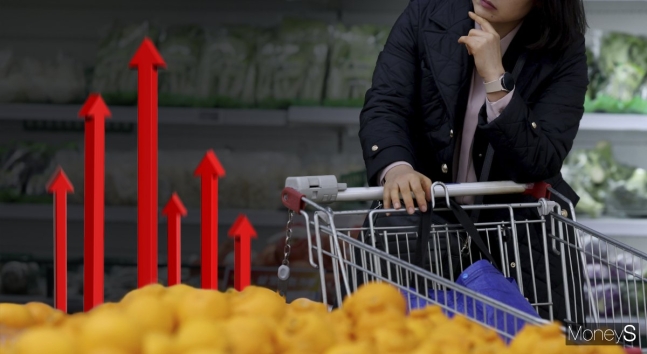 밥상물가를 비롯한 소비자물가가 상승세를 유지하고 있다.