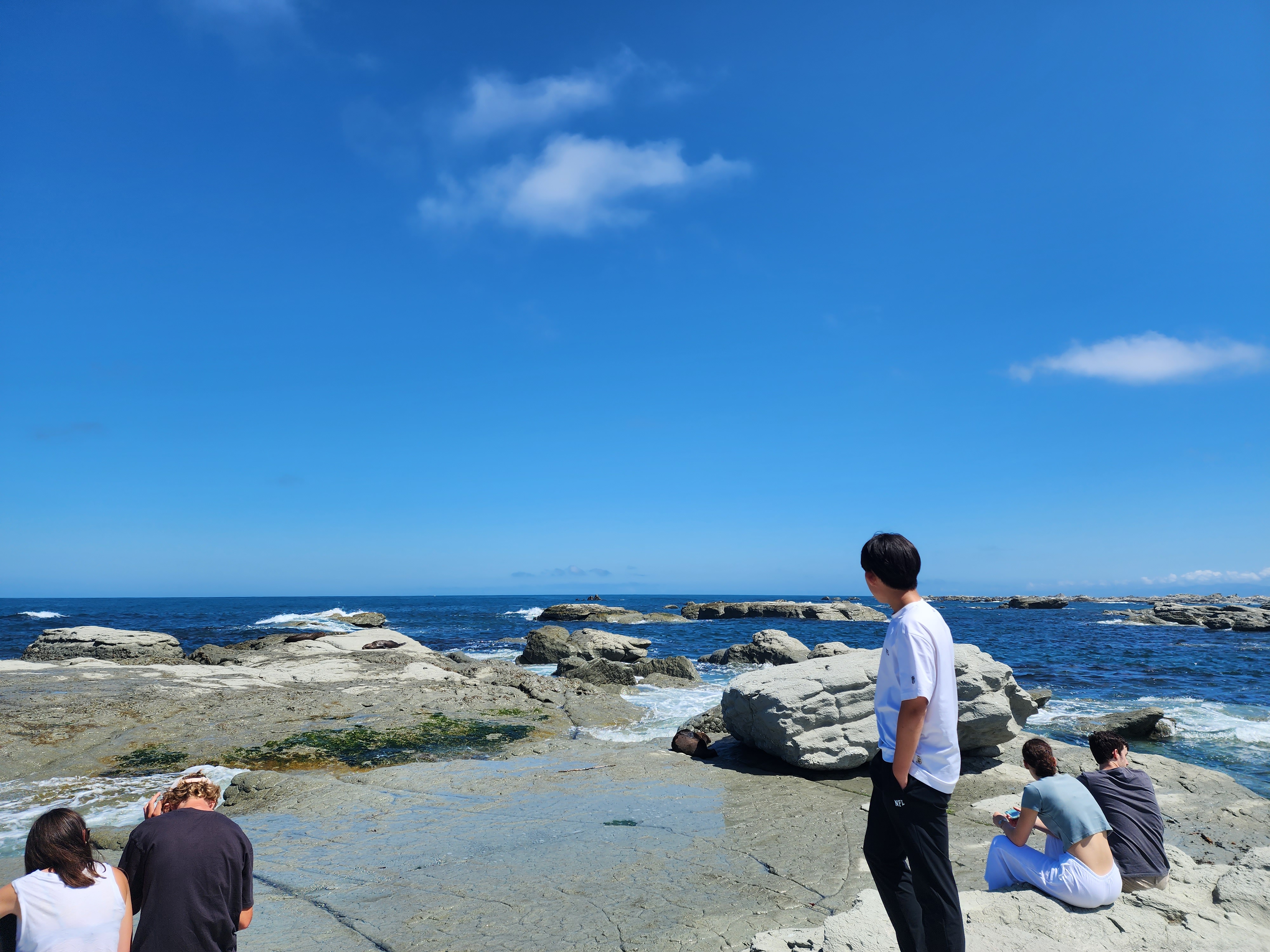 Kaikoura Peninsula Walkway