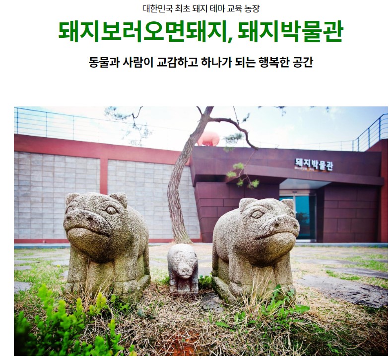 돼지박물관