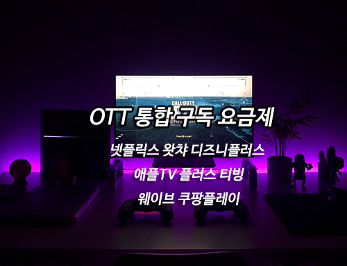 OTT 통합 구독 요금제 없나