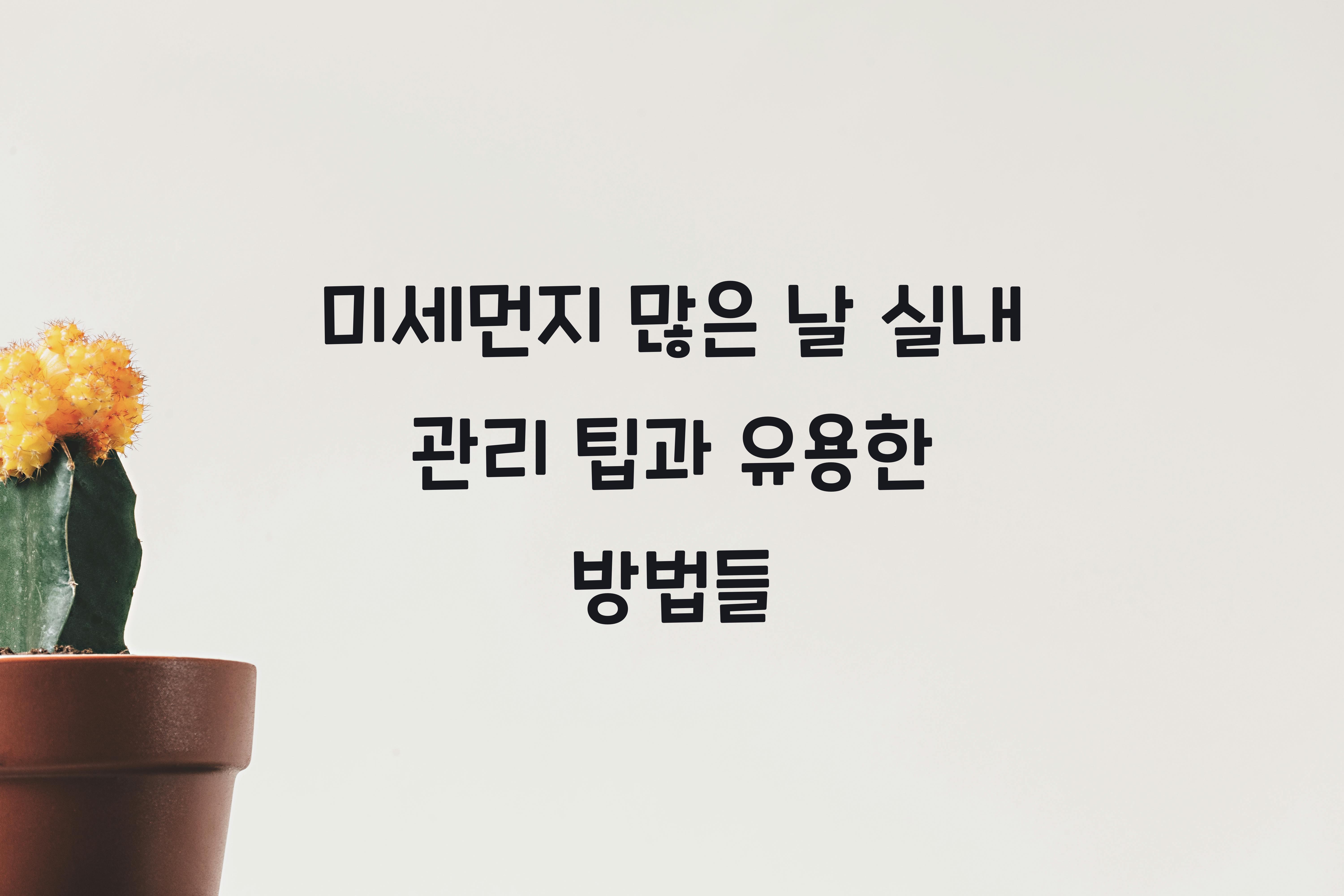 미세먼지 많은 날 실내 관리 팁