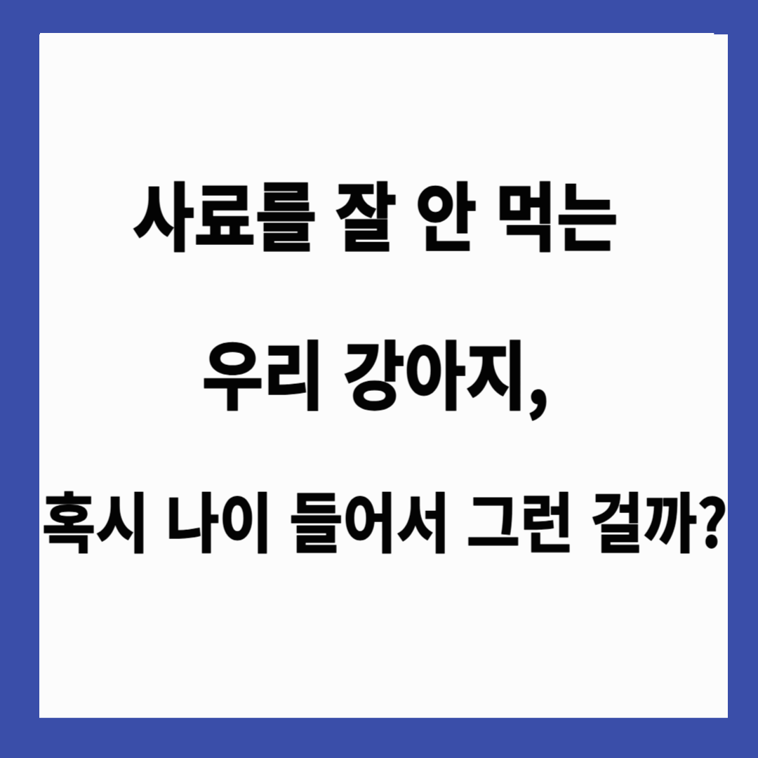 🐶 "사료를 잘 안 먹는 우리 강아지, 혹시 나이 들어서 그런 걸까?"