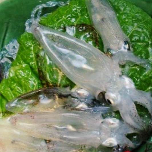 이만기 동네한바퀴 통영 중앙시장 서피랑 맛집