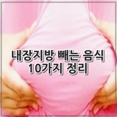 내장지방 빼는 음식 10가지 정리