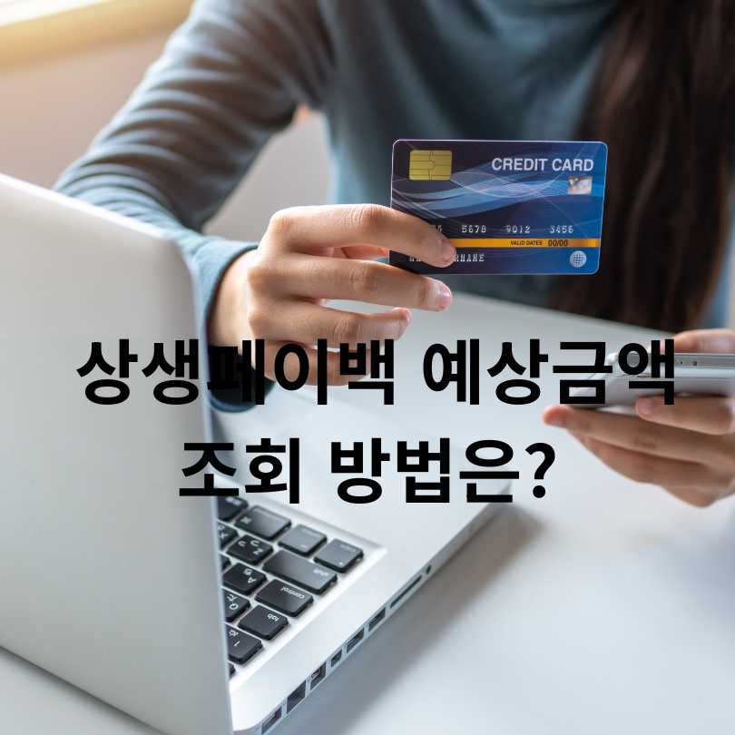 상생페이백 예상금액 조회 방법부터 신청방법까지