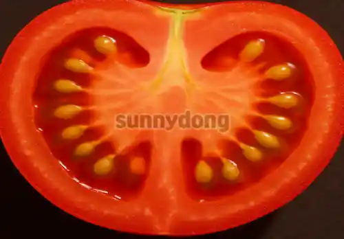 토마토 단면 클로즈업 이미지