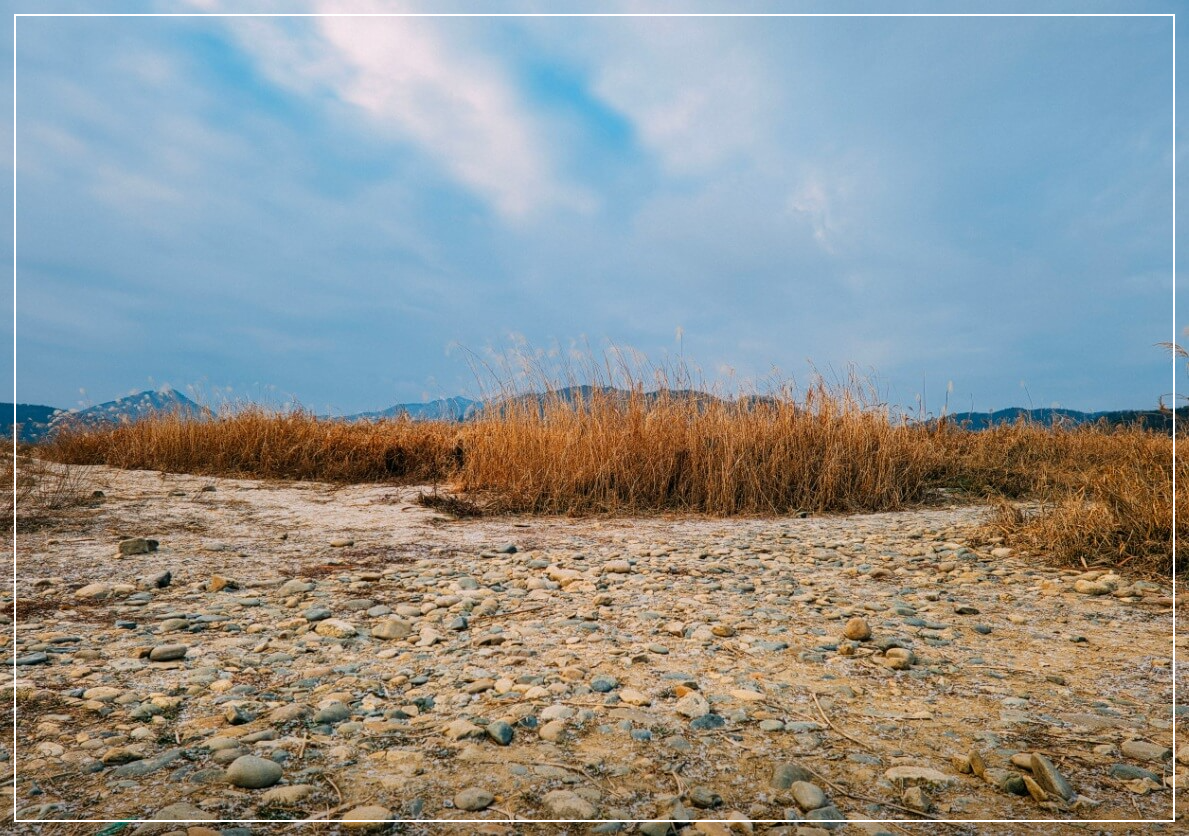 충주 가볼만한곳 베스트10 비내섬