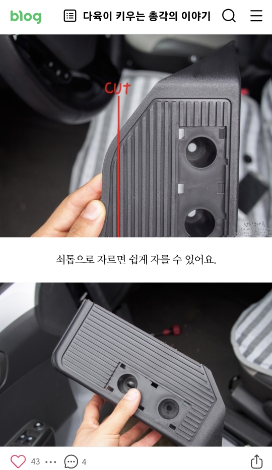 출처 네이버 다육이키우는 총각의 이야기 블로그 발췌