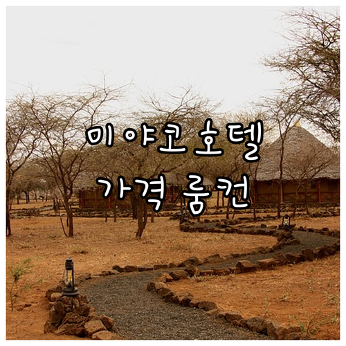 교토 인기 호텔 추천 더 웨스틴 미야..