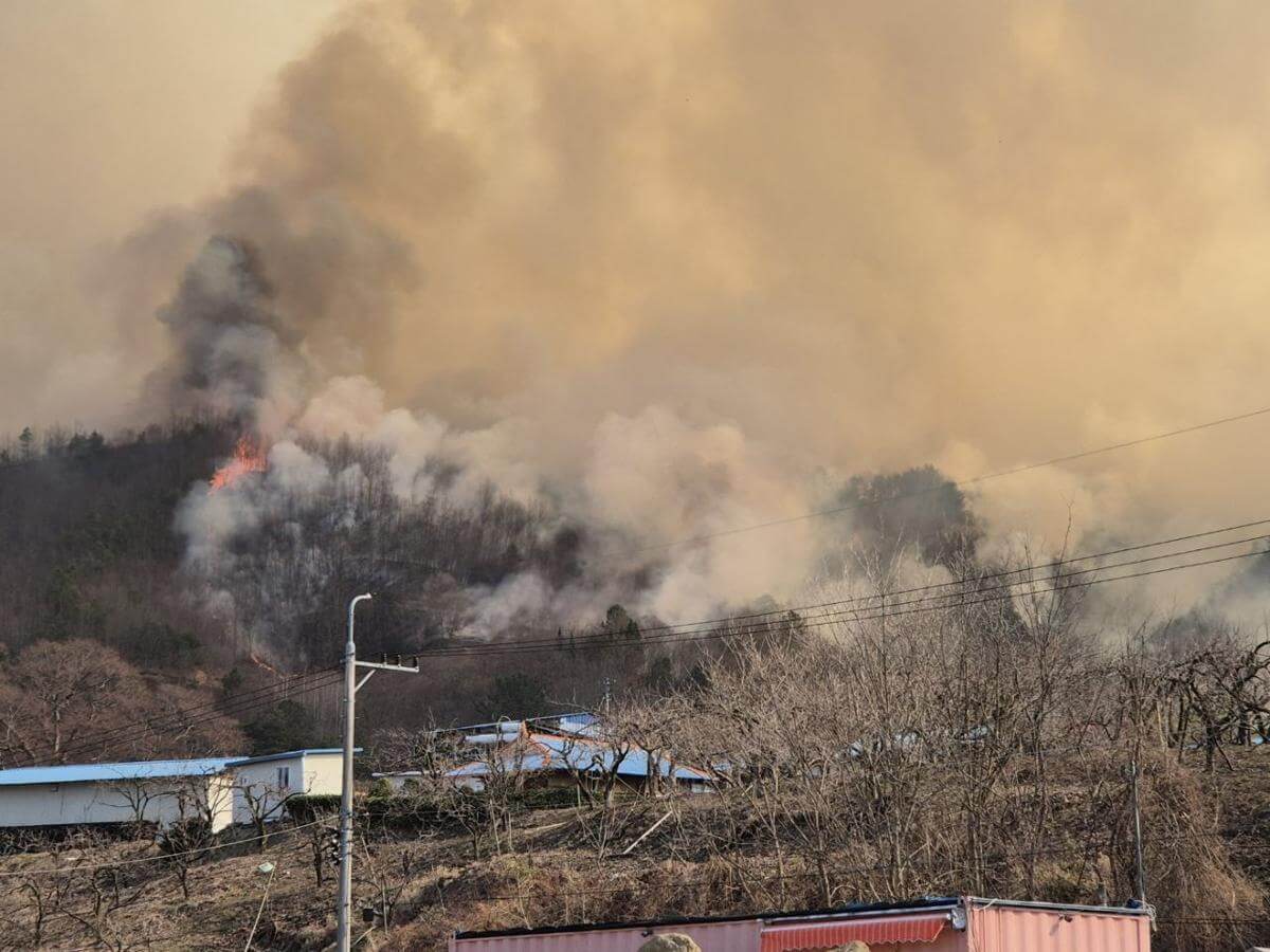 산불 국가위기경보 심각 단계 피해 상황 대피 요령