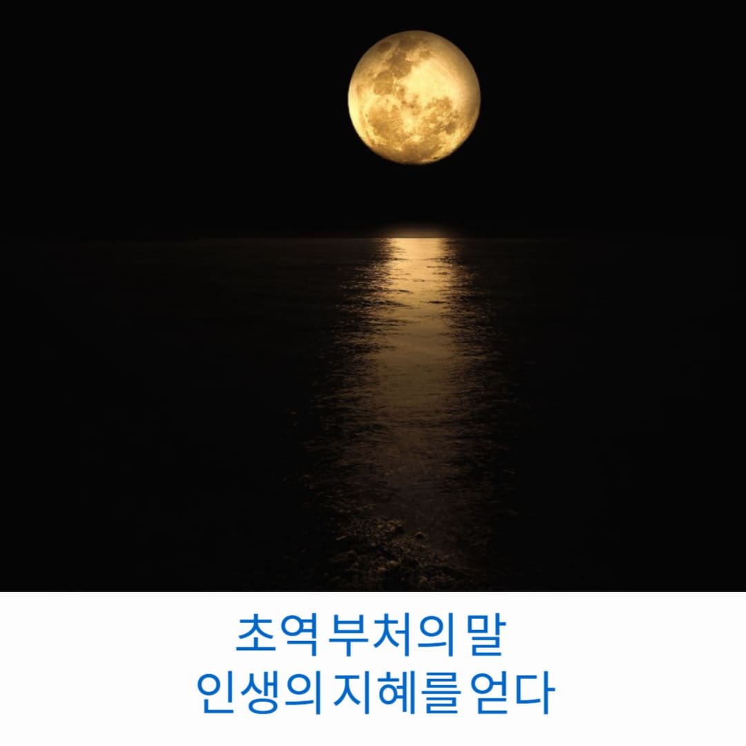 초역-부처의-말-인생의-지혜를-얻다-썸네일