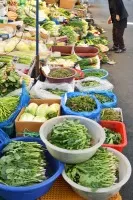 민생회복 소비쿠폰 사용처2