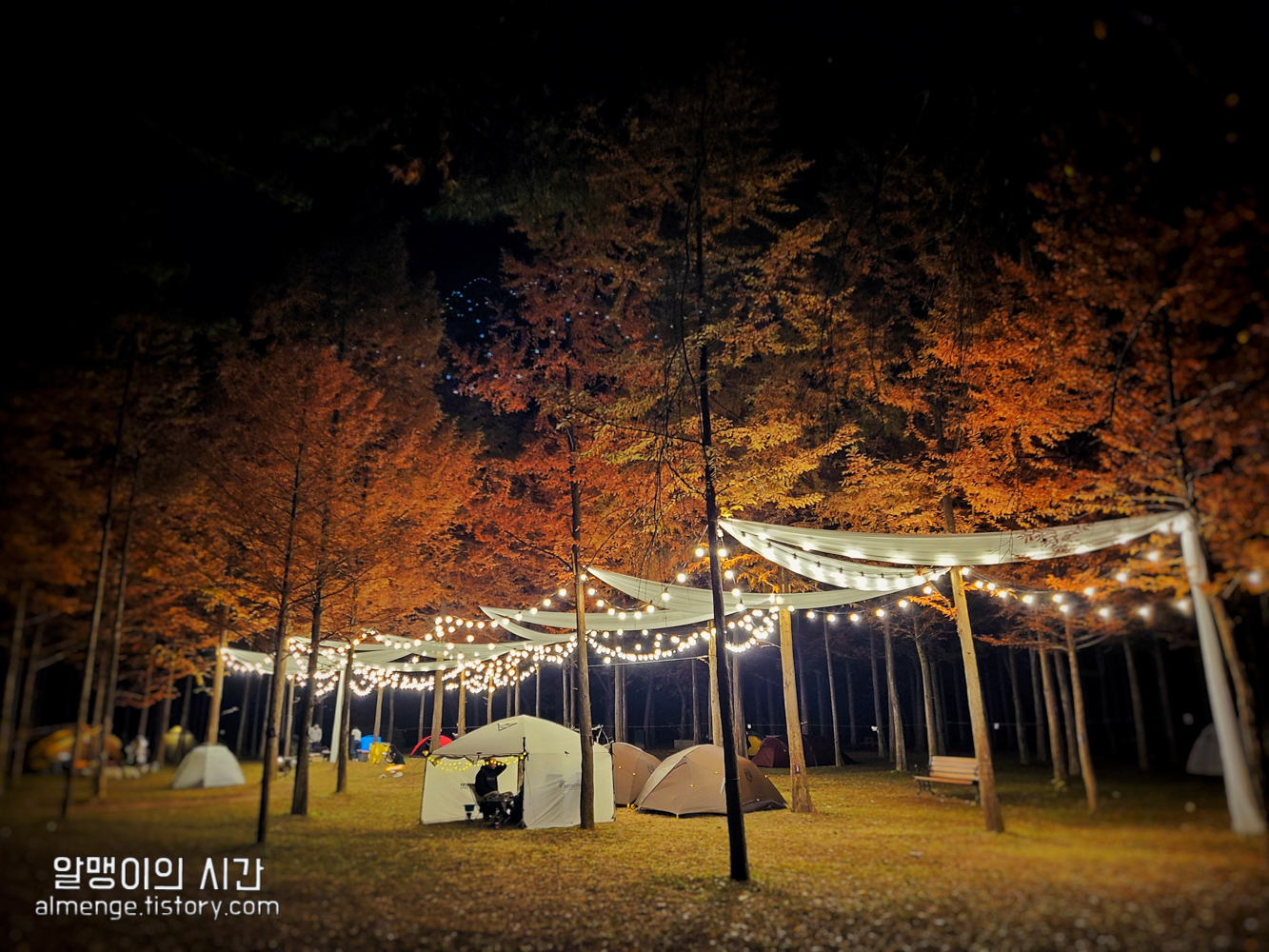 #9 남이섬 단풍 백패킹 :: 트레킹 온 아일랜드 후기 #9 남이섬 단풍 백패킹 :: 트레킹 온 아일랜드 후기