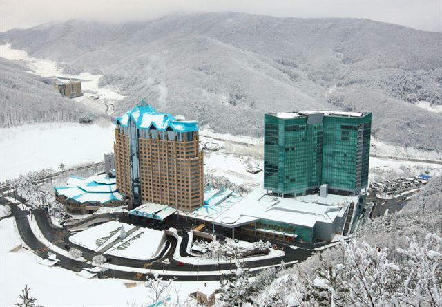 하이원 리조트 스키장