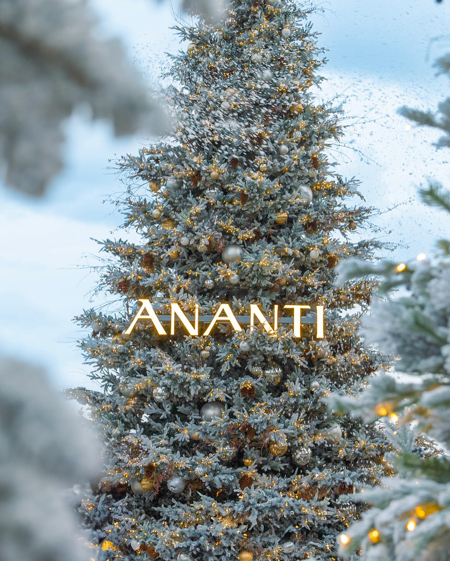  아난티 크리스마스 트리 빌리지의 환상적인 트리 모습 