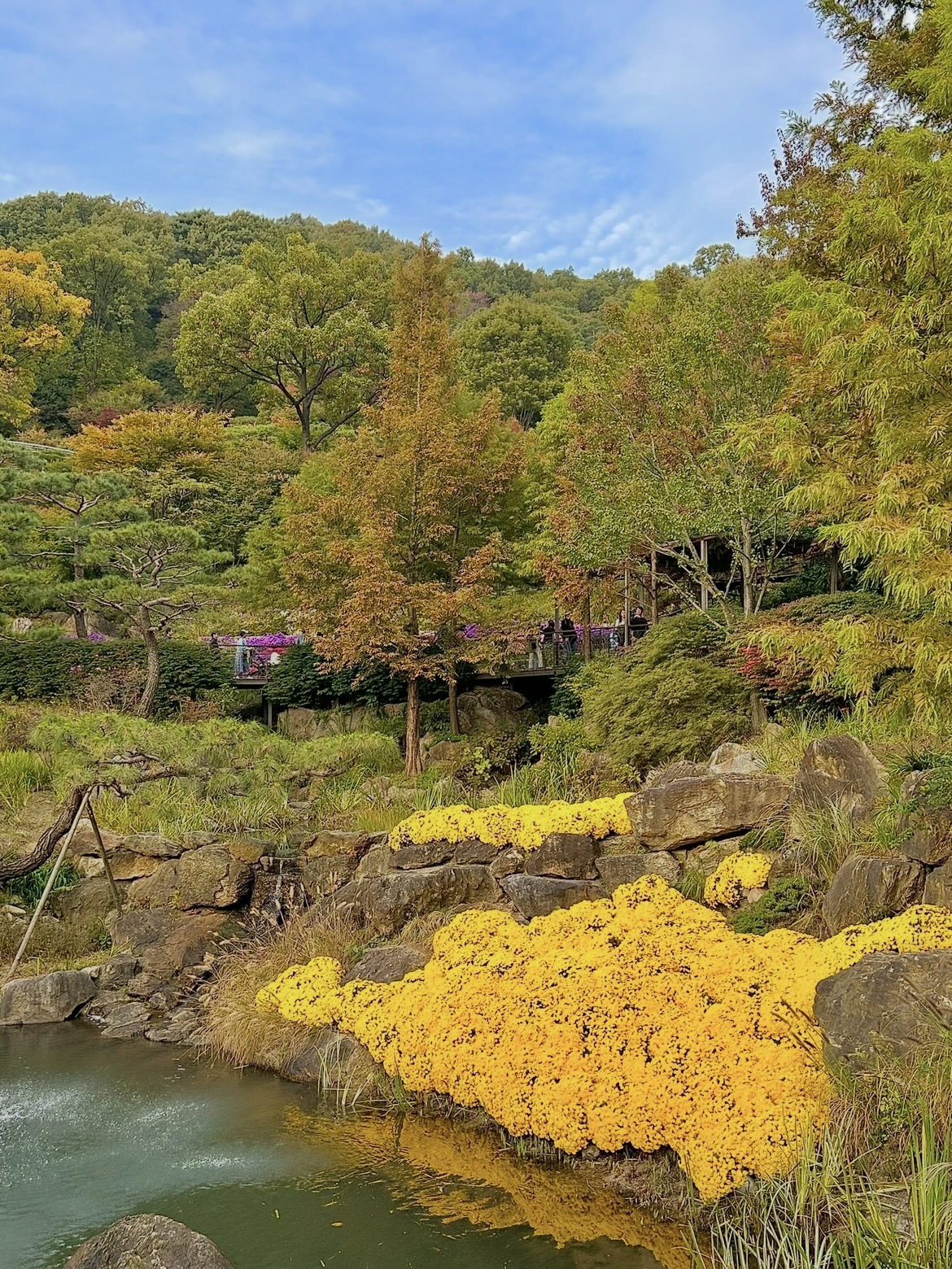 화담숲 암석하경정원