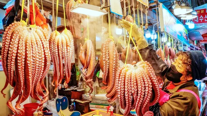 경주 성동시장 대왕문어 파는 곳 전화 택배 주문 맛집
