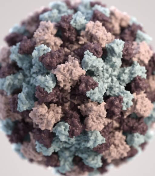 노로-바이러스를-확대해서-찍은-사진