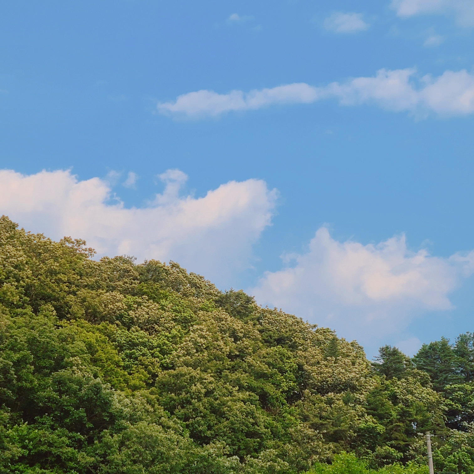 시크릿문 펜션 모습