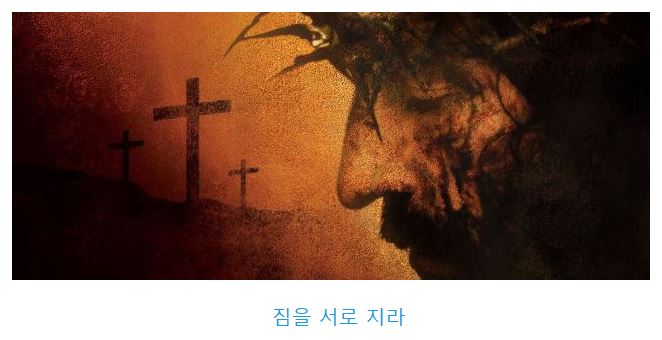 갈라디아서 6장