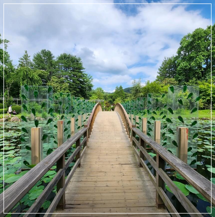 가평 가볼만한곳 베스트10 남이섬