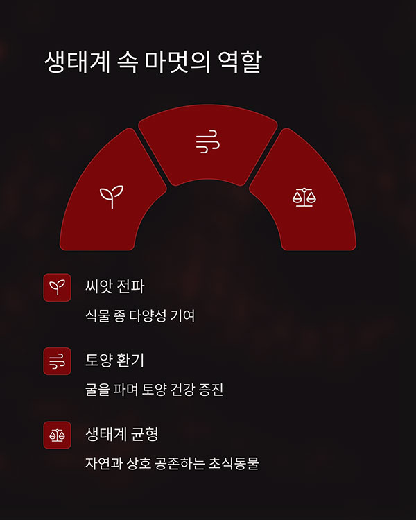 자연 생태계의 조화