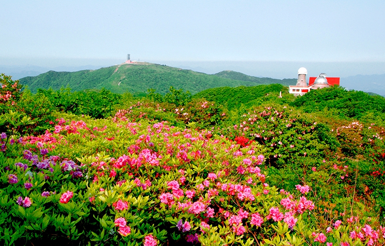 소백산 철쭉과 천문대