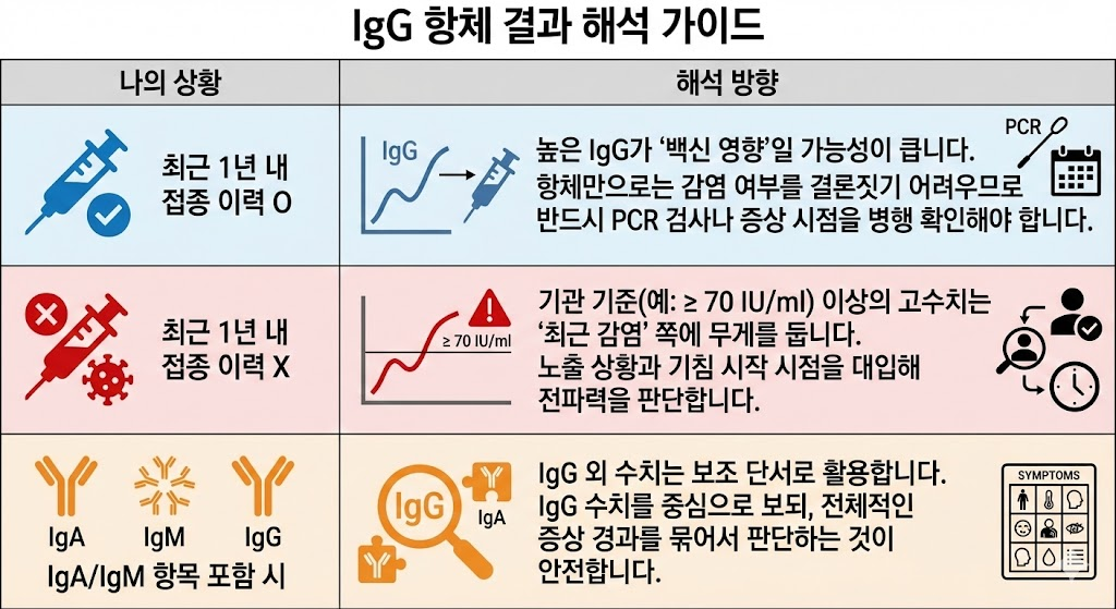 백일해 IgG 항체 검사 결과를 최근 접종 이력 유무에 따라 백신 영향과 실제 감염 가능성으로 구분해 해석하는 항체 판독 가이드 인포그래픽