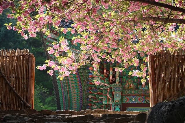 신라 시대와 고려 시대 사찰 건축 비교: 시대별 변화 분석