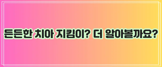 메리츠화재 착한치아보험 상품설명에 대한 총정리