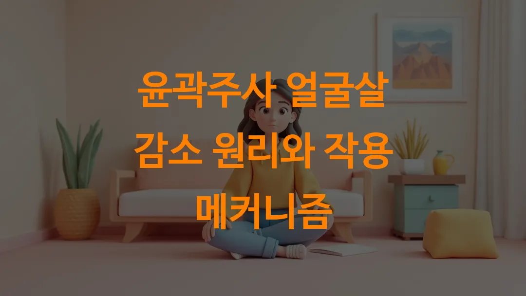 윤곽주사 얼굴살 감소 원리와 작용 메커니즘