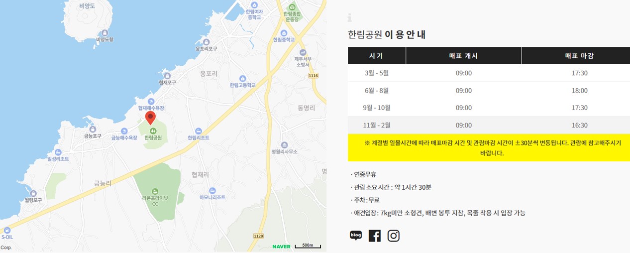 부겐빌레아 축제