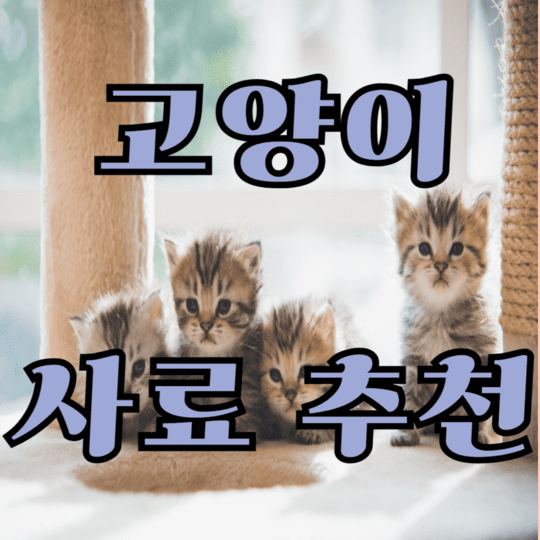 고양이 사료 추천! 연령, 체질, 입맛 별 반려묘 사료