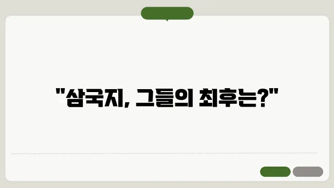 삼국지 영웅들