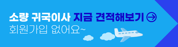 소량귀국이사