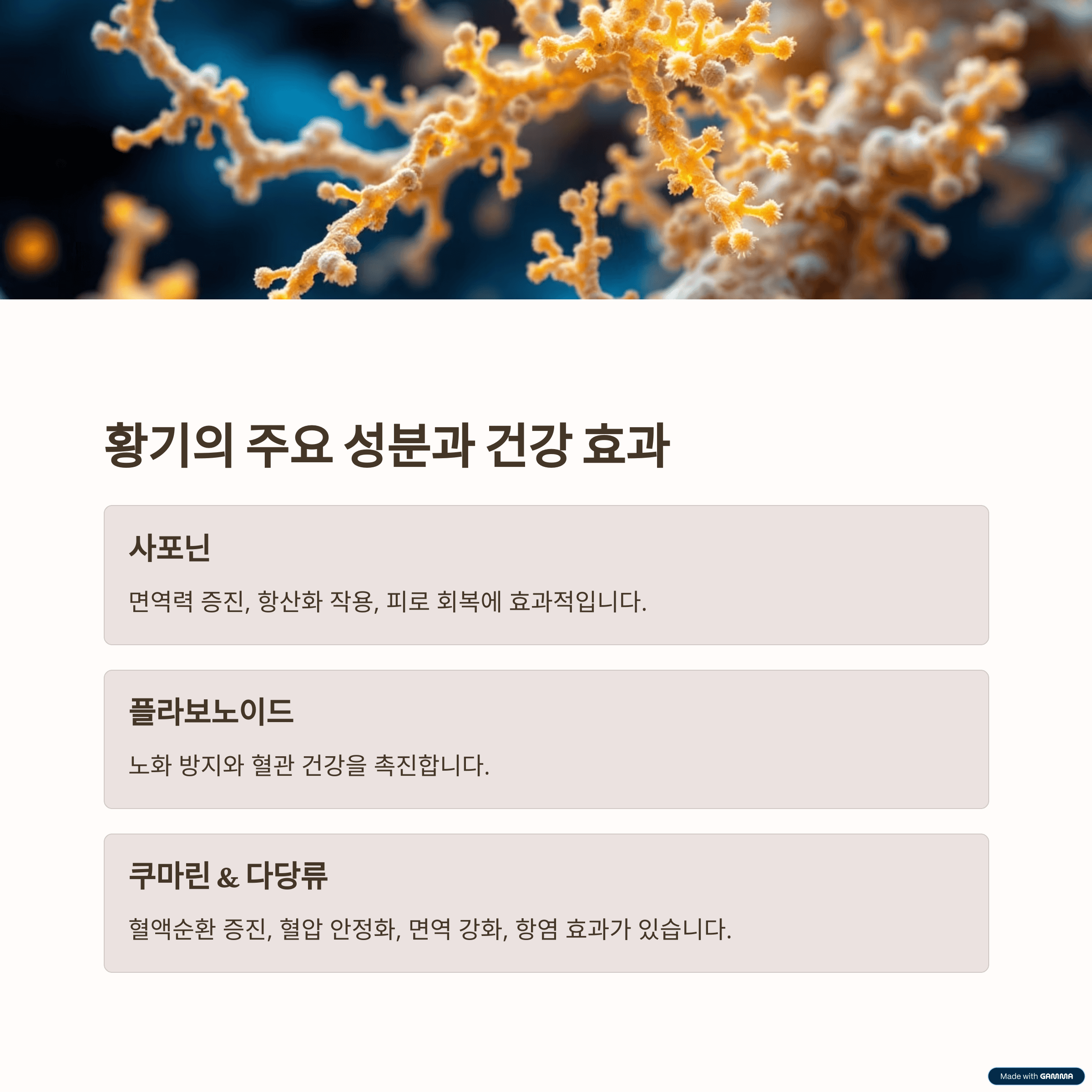 황기의 건강 효능