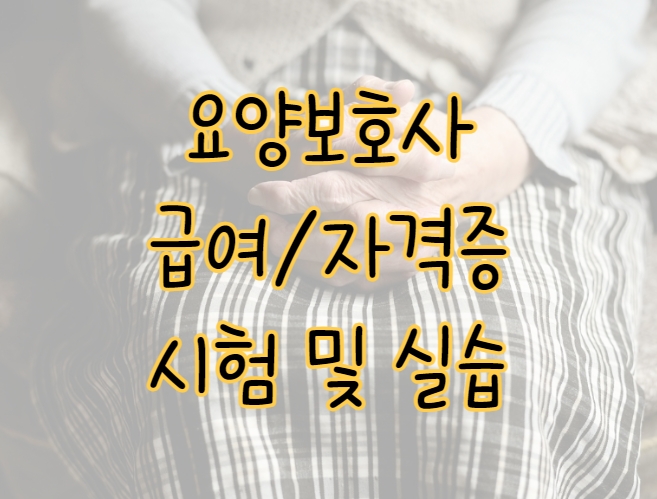 요양보호사 급여 시험 자격증 취득 실습 교육비 표지