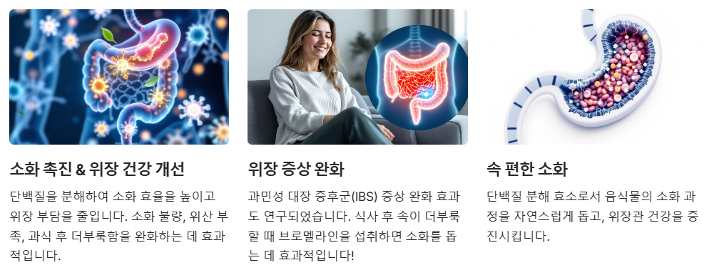 소화촉진 위장 건강 개선