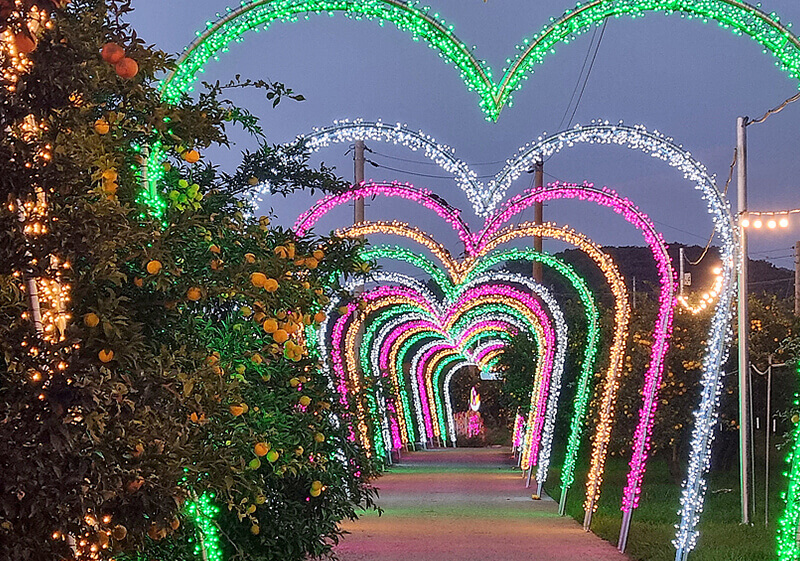 2024 고흥유자축제 일정 프로그램 초대가수