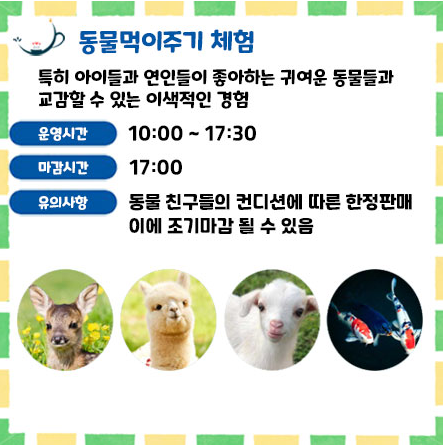 동물 먹이주기 체험
