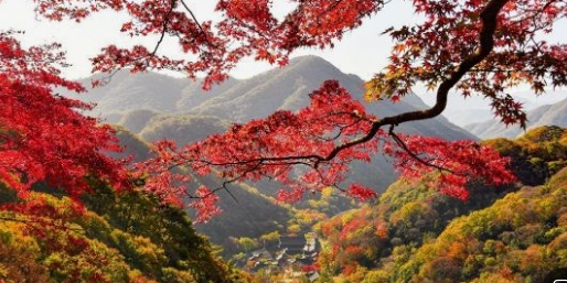 2025 백암산 단풍 절정 시기 & 등산코스 총정리! 사진 명소·교통팁까지