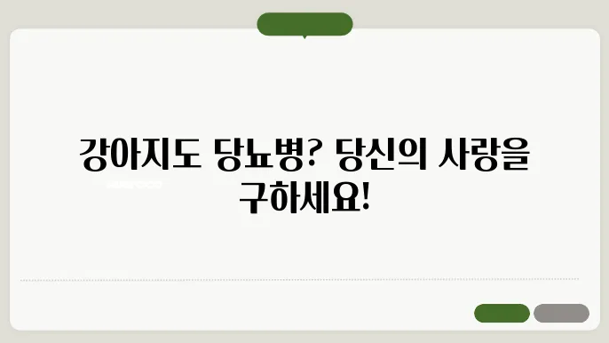 강아지의 당뇨병 이해