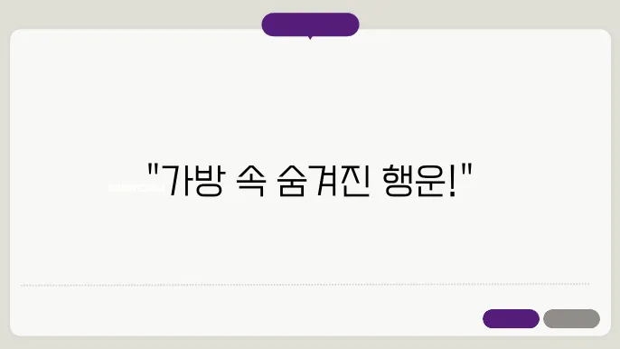 가방에 돈이 가득한 꿈