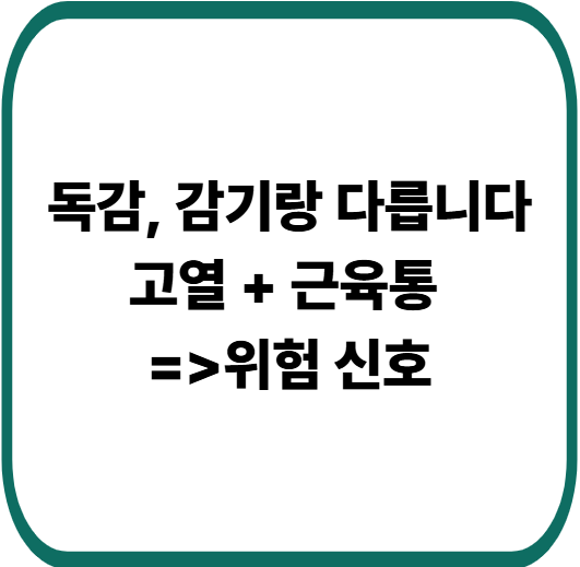 독감 증상 총정리 : 감기와 다른 점부터 치료·예방법까지