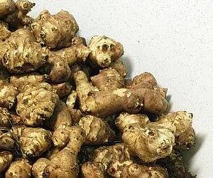 당뇨에 좋은 음식 돼지감자